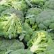Comer brócoli combate la enfermedad pulmonar