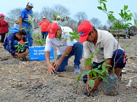 Continúa plan de reforestación en la isla Puná