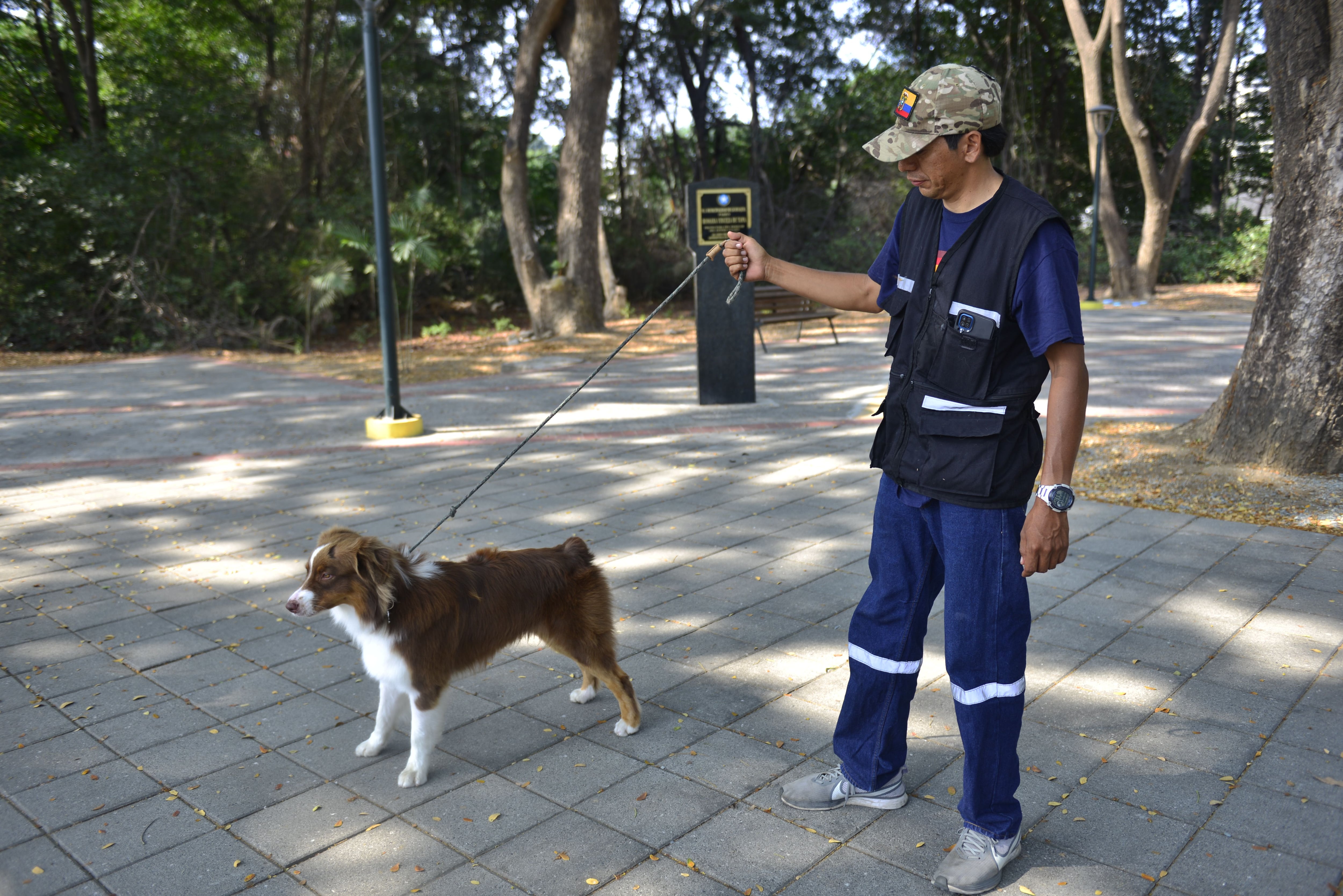 ¿Cuáles son las enfermedades más comunes que afectan a las mascotas de guayaquileños?
