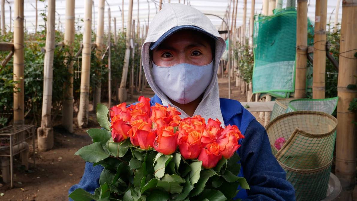 By visiting factories and farms in Ecuador, the aim is to further improve trade with Hungary