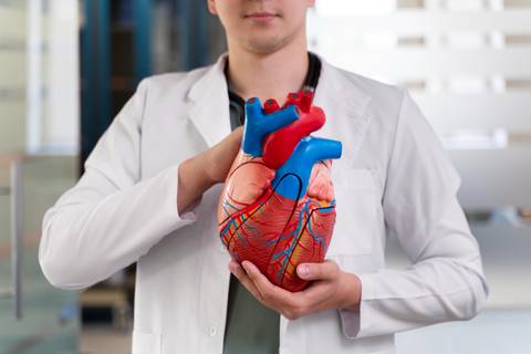 Aterosclerosis: Estas cinco señales te avisan que tus arterias coronarias podrían estar obstruidas