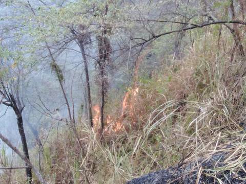 Bomberos tratan de controlar incendio forestal en el cerro Garabatal de Manabí