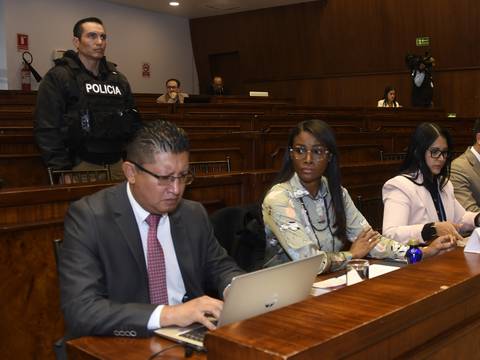 Correísmo impulsa un nuevo pedido de juicio político contra la fiscal Diana Salazar