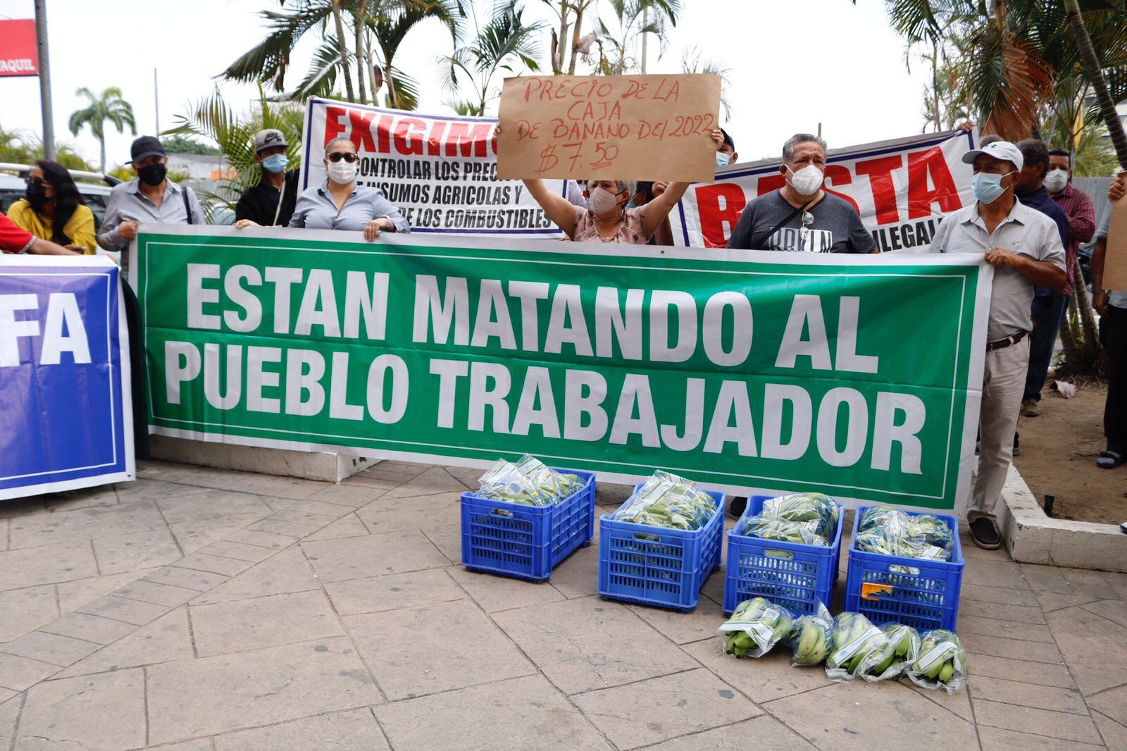 Un gremio de productores dice que documento sobre acuerdo por precio de caja de banano es “ilegal”