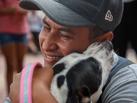 Cabildo abre inscripciones para curso gratuito de rescate y protección animal en Guayaquil