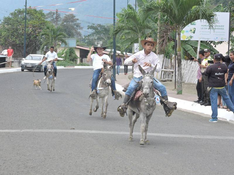 Con carrera de burros se destacó labor en el campo de Manabí |  Intercultural | Noticias | El Universo