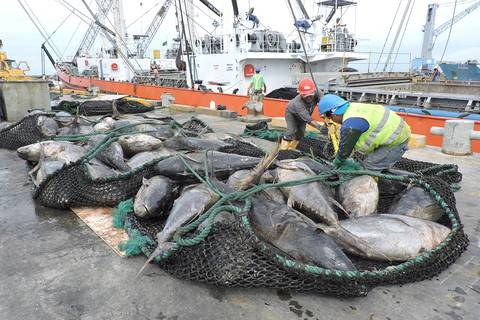 Gremios pesqueros ecuatorianos aclaran comentarios del presidente de México, Andrés López Obrador, sobre las capturas de atún