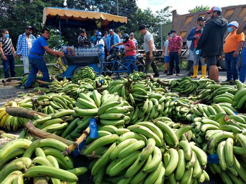 Plazo de bananeros al Gobierno termina a las 16:00 de este viernes. Si no hay respuesta, advierten con retomar el paro desde las 17:00 en El Oro