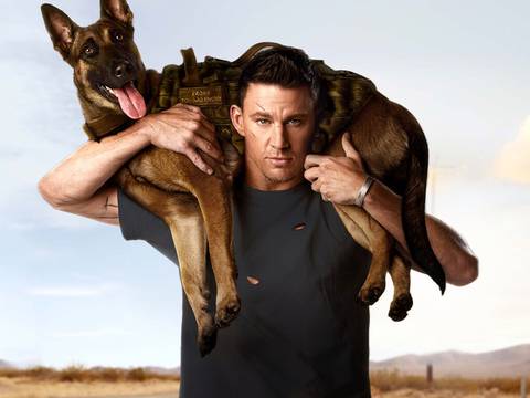 Channing Tatum rinde homenaje a su perra que murió de cáncer en película con la que se estrena como director
