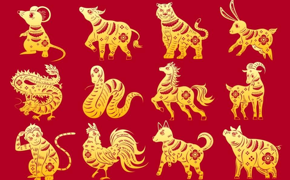Conoce cuál es tu animal según el calendario chino, Gente, Entretenimiento