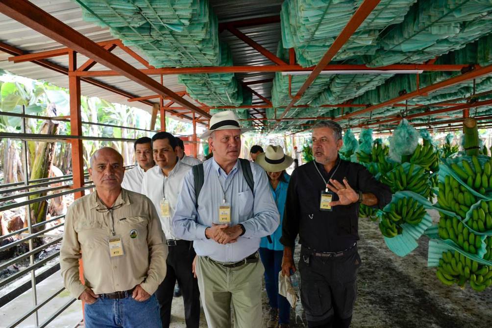 With the European Union, mechanisms are sought to strengthen the banana value chain: “safety must be dealt with co-responsibility, separating the product from a transnational problem that affects everyone”