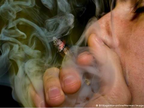 Alemania analiza beneficios y riesgos de la legalización del cannabis
