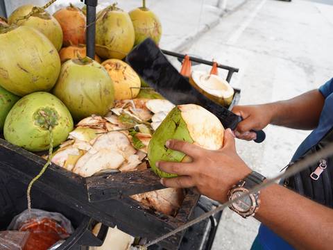 El agua de coco se convierte en el ‘producto más codiciado’ en las calles de Guayaquil por las altas temperaturas