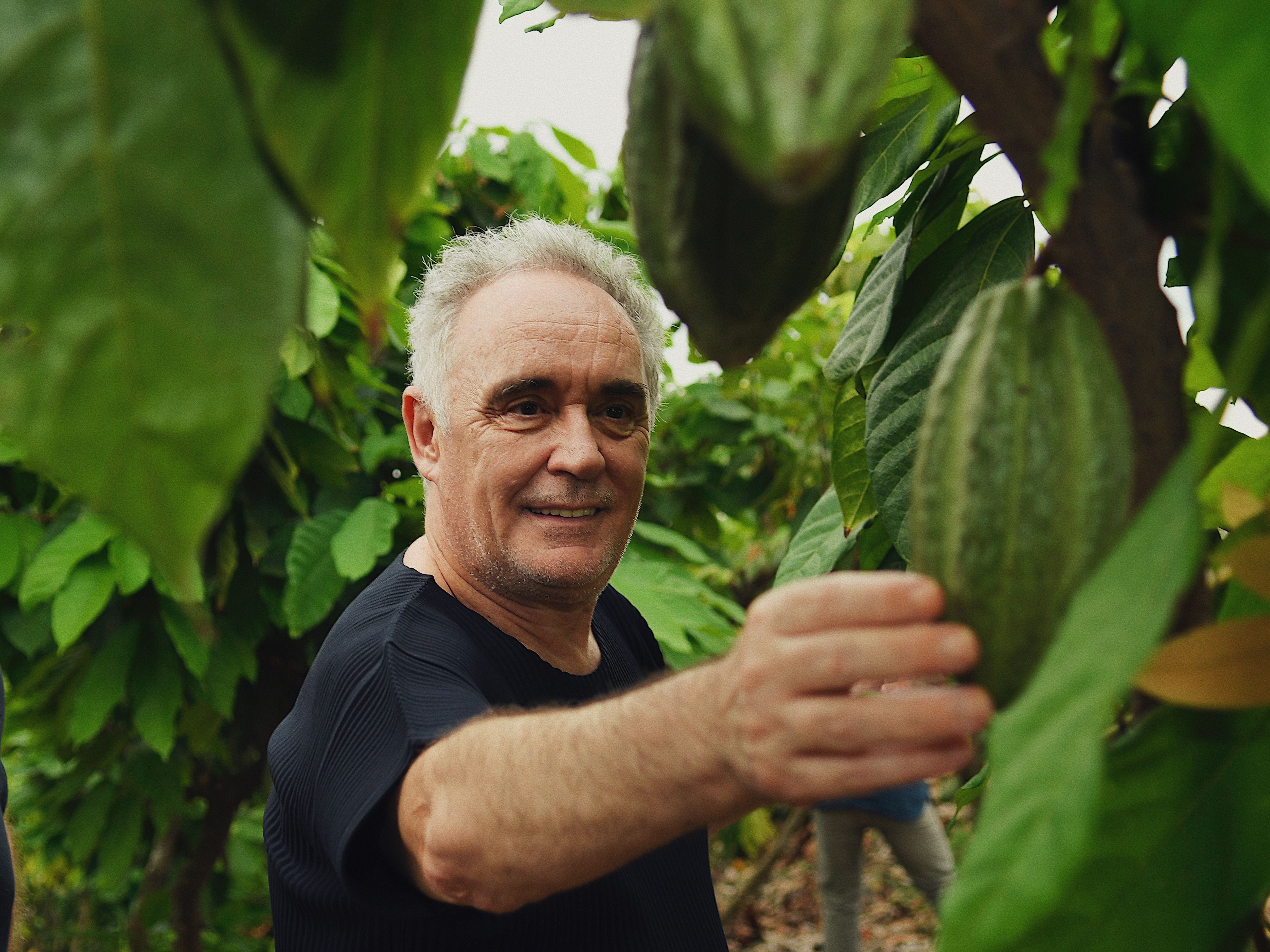 Gourman: Gourman: Nación Parrilla | Columnistas | Entretenimiento | El ...