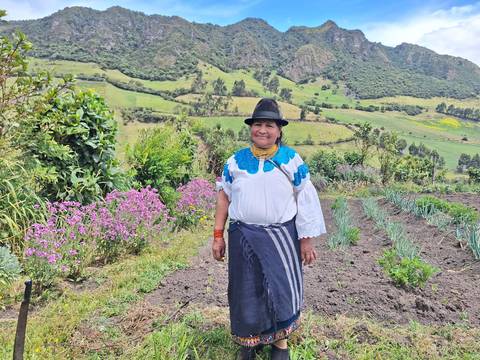 Turucucho pone en alto el nombre de Ecuador por su leche, chocolate y té