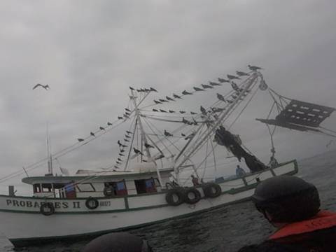 Embarcación aprehendida por pesca de arrastre en costas de General Villamil Playas