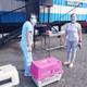 Clínica móvil de esterilización de animales reanuda atención en el norte de Guayaquil