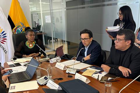 INEC ratifica que 4,8 % de la población de Ecuador es afroecuatoriana y rechaza acusación de ‘etnocidio estadístico’. Su director compareció en la Asamblea