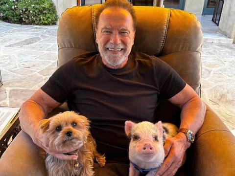 El impactante nuevo récord de Arnold Schwarzenegger que podría enfurecer a sus fanáticos