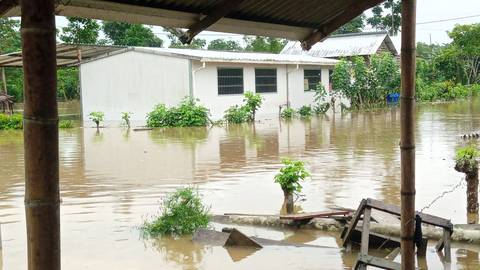 Se espera que durante la última semana del año persistan eventos de lluvias en diversas provincias del Litoral