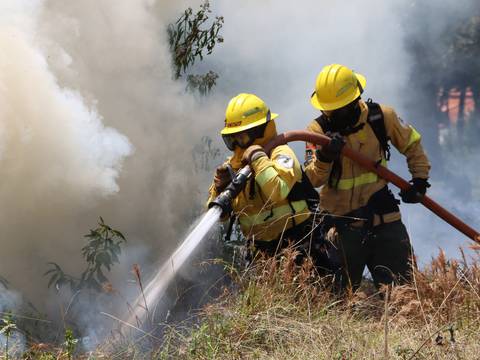 Estudiantes resultaron afectados por incendio forestal en Quito