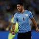 Luis Suárez: Uruguay pasó de tener poco apoyo a agotar las entradas para los juegos por las eliminatorias