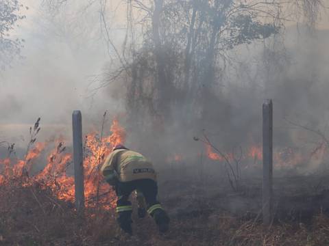 Incendio forestal se reporta en el kilómetro 36 de vía a la costa; 50 bomberos trabajan en la emergencia