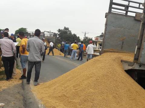 Arroceros de Balzar reclamaron por el precio del arroz