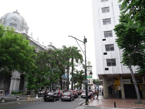 ‘Ahora le queda al Municipio atar este cambio de nombre a algo turístico’: guayaquileños reaccionan a nueva calle República de Guayaquil
