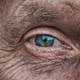 Con reprogramación genética se podría revertir la pérdida de visión por glaucoma