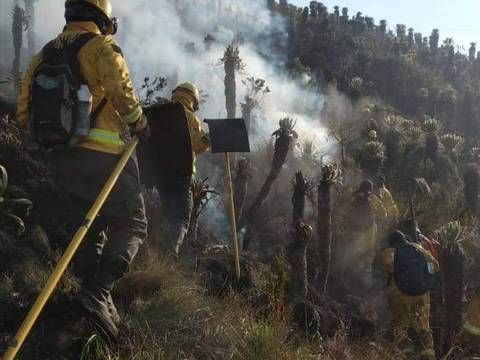 COE de Carchi solicita helicópteros para sofocar incendio en la reserva ecológica El Ángel