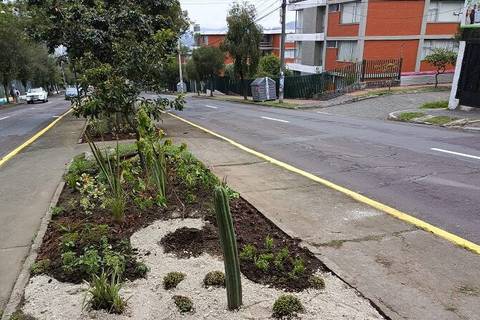 Corredor verde urbano se implementa en la av. Mariana de Jesús, en el norte de Quito