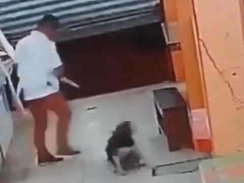 Carnicero apuñaló a perro que estaba mordiendo un trozo de carne en un mercado en El Empalme