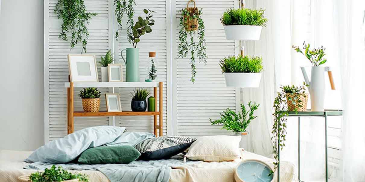 Qué plantas son buenas para tener dentro de la casa?, Cuerpo y Alma, La  Revista