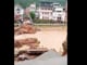 Cuatro desaparecidos tras la colisión de un barco con un puente en el sur de China
