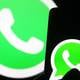 WhatsApp: por qué en Estados Unidos poca gente usa la aplicación de mensajería más popular del mundo