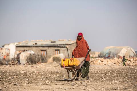 Crisis alimentaria amenaza a 16 millones de personas en el Cuerno de África