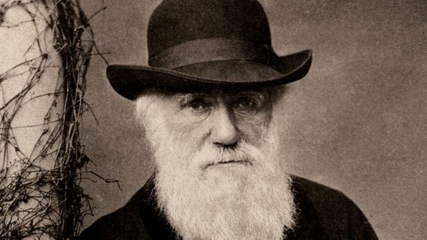 “Un nivel de degradación mayor que el de cualquier animal indefenso”: el horror de Charles Darwin ante la esclavitud en Brasil y cómo marcó sus teorías