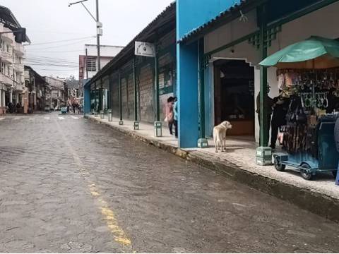 Paro nacional: en Saraguro empiezan a escasear productos cárnicos debido a los bloqueos viales