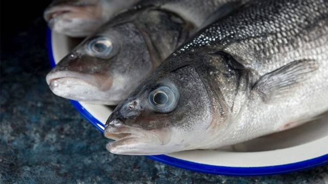 Tres pescados ricos en vitamina D que ayudan a fortalecer los huesos