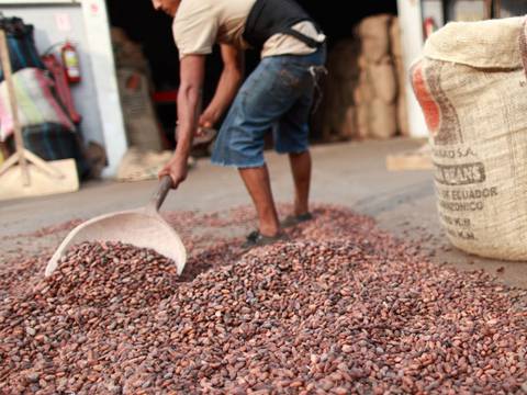 Malasia e Indonesia crecen como destinos del cacao ecuatoriano, que demanda apoyo estatal para mejorar competitividad y seguridad 