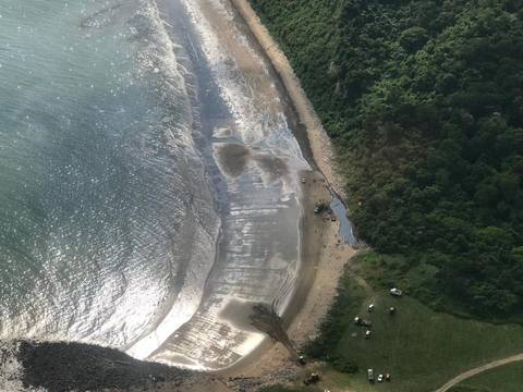 Derrame de petróleo afecta al ecosistema de la playa Las Palmas, en pleno centro de Esmeraldas, y Petroecuador dice que se debe a una falla en el traslado del hidrocarburo