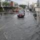 Calles anegadas, árboles caídos e interrupción del servicio de energía eléctrica, efectos de lluvia en Guayaquil