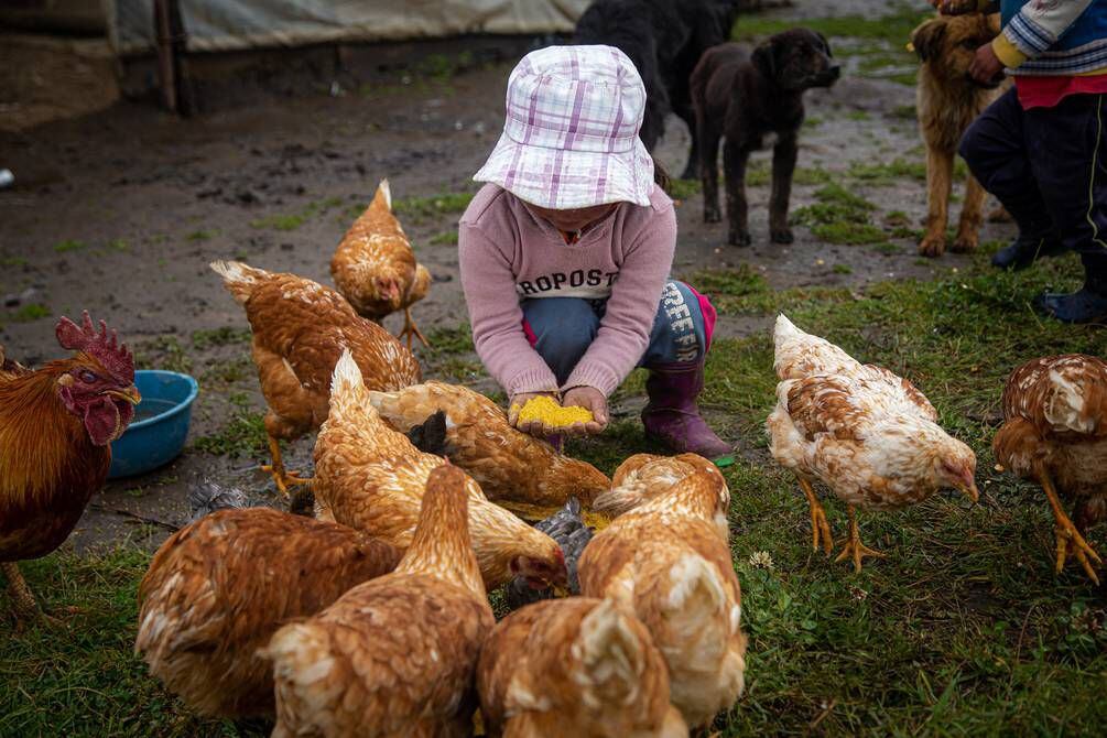 2,5 millones de ecuatorianos no comen o lo hacen solo una vez al día, alerta el Programa Mundial de Alimentos
