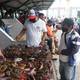 La oferta de cangrejos: una opción para festejos por el Día del Padre en Guayaquil