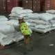 Casi tres toneladas de droga se pretendía sacar camufladas en carga de harina desde Guayaquil