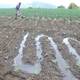 Sectores agrícolas de Ecuador, preocupados por cobro de agua para sembríos 