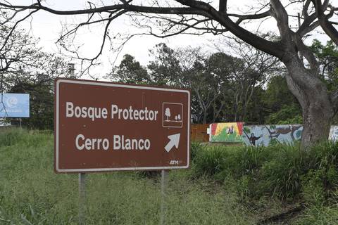 ‘¿Cómo vas a alterar con perforaciones a un ecosistema? Es el bosque más grande de Guayaquil, no podemos perjudicarlo’, sostienen ambientalistas por ruta al futuro aeropuerto