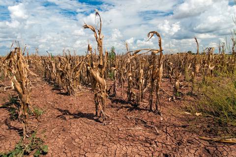 Las sequías ‘flash’ se intensifican por un clima global más cálido, detalla nuevo estudio