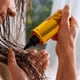 Así puedes usar el aceite de oliva para reparar y aclarar tu cabello sin dañarlo con químicos